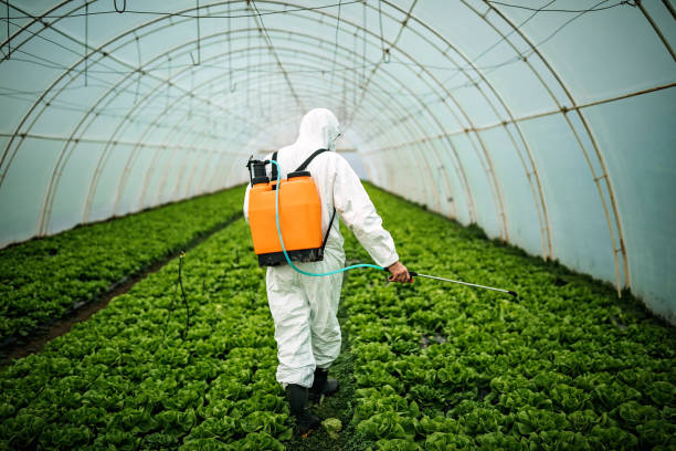 Best Pest Prevention Services  in Lake Mills, WI