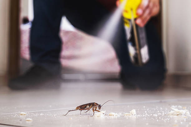 Best Ant Control Services  in Lake Mills, WI